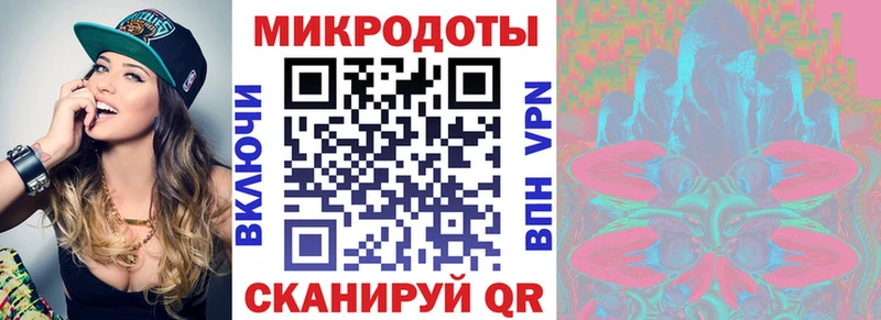 Купить где Нахабино Псилоцибиновые грибы Cubensis