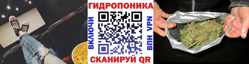 Бошки марихуана индика  Купить закладки  Нахабино 